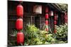 China 10MKm2 Collection - Chinese Lanterns-Philippe Hugonnard-Mounted Photographic Print