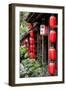 China 10MKm2 Collection - Chinese Lanterns-Philippe Hugonnard-Framed Photographic Print