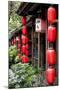 China 10MKm2 Collection - Chinese Lanterns-Philippe Hugonnard-Mounted Photographic Print