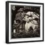 China 10MKm2 Collection - Chinese Pavilion-Philippe Hugonnard-Framed Photographic Print