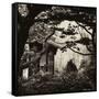 China 10MKm2 Collection - Chinese Pavilion-Philippe Hugonnard-Framed Stretched Canvas