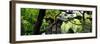 China 10MKm2 Collection - Chinese Pavilion-Philippe Hugonnard-Framed Photographic Print