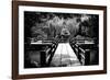 China 10MKm2 Collection - Chinese Pontoon-Philippe Hugonnard-Framed Photographic Print