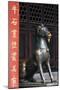 China 10MKm2 Collection - Chinese Statue-Philippe Hugonnard-Mounted Photographic Print