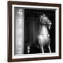 China 10MKm2 Collection - Chinese Statue-Philippe Hugonnard-Framed Photographic Print