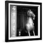 China 10MKm2 Collection - Chinese Statue-Philippe Hugonnard-Framed Photographic Print