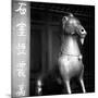 China 10MKm2 Collection - Chinese Statue-Philippe Hugonnard-Mounted Photographic Print