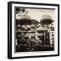 China 10MKm2 Collection - Chinese Street Atmosphere-Philippe Hugonnard-Framed Photographic Print