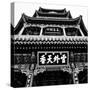 China 10MKm2 Collection - Chinese Temple - Summer Palace-Philippe Hugonnard-Stretched Canvas