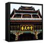 China 10MKm2 Collection - Chinese Temple - Summer Palace-Philippe Hugonnard-Framed Stretched Canvas