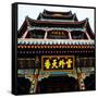 China 10MKm2 Collection - Chinese Temple - Summer Palace-Philippe Hugonnard-Framed Stretched Canvas