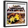 China 10MKm2 Collection - Chinese Temple - Summer Palace-Philippe Hugonnard-Framed Photographic Print