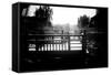 China 10MKm2 Collection - Chinese Walk-Philippe Hugonnard-Framed Stretched Canvas