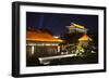 China 10MKm2 Collection - City Night Xi'an-Philippe Hugonnard-Framed Photographic Print