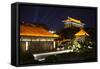 China 10MKm2 Collection - City Night Xi'an-Philippe Hugonnard-Framed Stretched Canvas