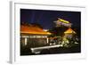 China 10MKm2 Collection - City Night Xi'an-Philippe Hugonnard-Framed Photographic Print