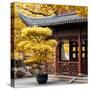 China 10MKm2 Collection - Classical Chinese Pavilion in Autumn-Philippe Hugonnard-Stretched Canvas