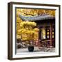 China 10MKm2 Collection - Classical Chinese Pavilion in Autumn-Philippe Hugonnard-Framed Photographic Print