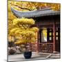 China 10MKm2 Collection - Classical Chinese Pavilion in Autumn-Philippe Hugonnard-Mounted Photographic Print