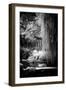 China 10MKm2 Collection - Classical Chinese Pavilion-Philippe Hugonnard-Framed Photographic Print