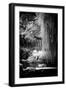 China 10MKm2 Collection - Classical Chinese Pavilion-Philippe Hugonnard-Framed Photographic Print