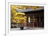 China 10MKm2 Collection - Classical Chinese Pavilion-Philippe Hugonnard-Framed Photographic Print