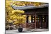 China 10MKm2 Collection - Classical Chinese Pavilion-Philippe Hugonnard-Mounted Photographic Print