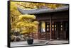 China 10MKm2 Collection - Classical Chinese Pavilion-Philippe Hugonnard-Framed Stretched Canvas