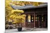 China 10MKm2 Collection - Classical Chinese Pavilion-Philippe Hugonnard-Mounted Photographic Print