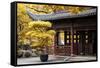 China 10MKm2 Collection - Classical Chinese Pavilion-Philippe Hugonnard-Framed Stretched Canvas