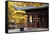 China 10MKm2 Collection - Classical Chinese Pavilion-Philippe Hugonnard-Framed Stretched Canvas