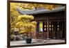 China 10MKm2 Collection - Classical Chinese Pavilion-Philippe Hugonnard-Framed Photographic Print