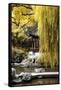 China 10MKm2 Collection - Classical Chinese Pavilion-Philippe Hugonnard-Framed Stretched Canvas