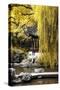 China 10MKm2 Collection - Classical Chinese Pavilion-Philippe Hugonnard-Stretched Canvas