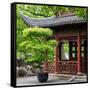 China 10MKm2 Collection - Classical Chinese Pavilion-Philippe Hugonnard-Framed Stretched Canvas