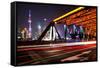 China 10MKm2 Collection - Colorful Garden Bridge - Shanghai-Philippe Hugonnard-Framed Stretched Canvas