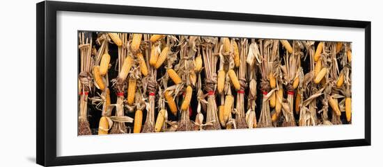 China 10MKm2 Collection - Corn Drying-Philippe Hugonnard-Framed Photographic Print