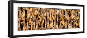 China 10MKm2 Collection - Corn Drying-Philippe Hugonnard-Framed Photographic Print