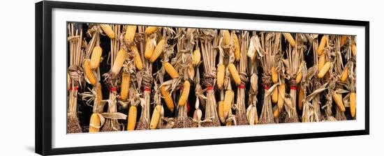 China 10MKm2 Collection - Corn Drying-Philippe Hugonnard-Framed Premium Photographic Print