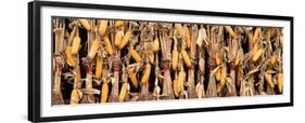 China 10MKm2 Collection - Corn Drying-Philippe Hugonnard-Framed Premium Photographic Print