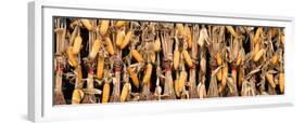 China 10MKm2 Collection - Corn Drying-Philippe Hugonnard-Framed Premium Photographic Print