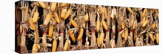 China 10MKm2 Collection - Corn Drying-Philippe Hugonnard-Stretched Canvas