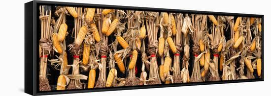 China 10MKm2 Collection - Corn Drying-Philippe Hugonnard-Framed Stretched Canvas