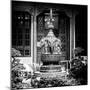 China 10MKm2 Collection - Detail Buddhist Temple - Elephant Statue-Philippe Hugonnard-Mounted Photographic Print