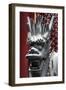 China 10MKm2 Collection - Detail of Dragon-Philippe Hugonnard-Framed Photographic Print