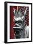 China 10MKm2 Collection - Detail of Dragon-Philippe Hugonnard-Framed Photographic Print