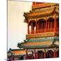 China 10MKm2 Collection - Detail of Summer Palace at sunset-Philippe Hugonnard-Mounted Photographic Print