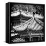 China 10MKm2 Collection - Detail of Summer Palace-Philippe Hugonnard-Framed Stretched Canvas