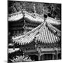 China 10MKm2 Collection - Detail of Summer Palace-Philippe Hugonnard-Mounted Photographic Print