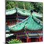 China 10MKm2 Collection - Detail of Summer Palace-Philippe Hugonnard-Mounted Photographic Print